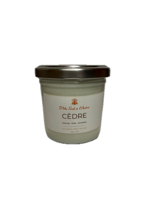 Bougie Cèdre