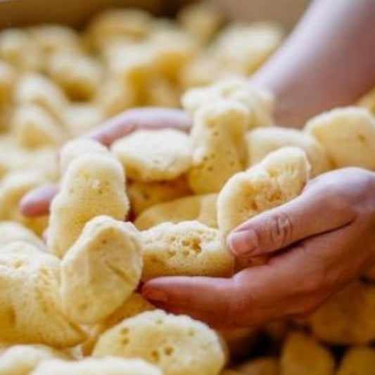 Eponge de mer fine - visage