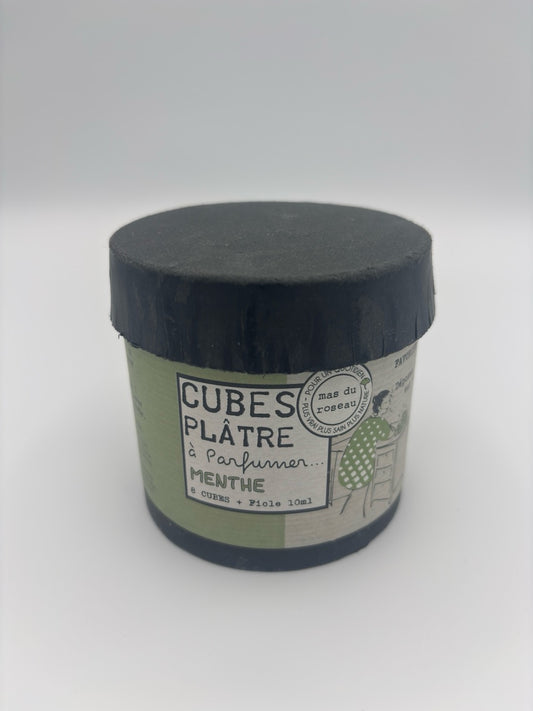 Cube de platre à parfumer - Menthe