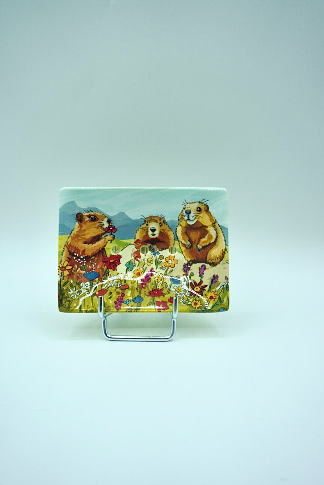 Porte savon - Marmottes